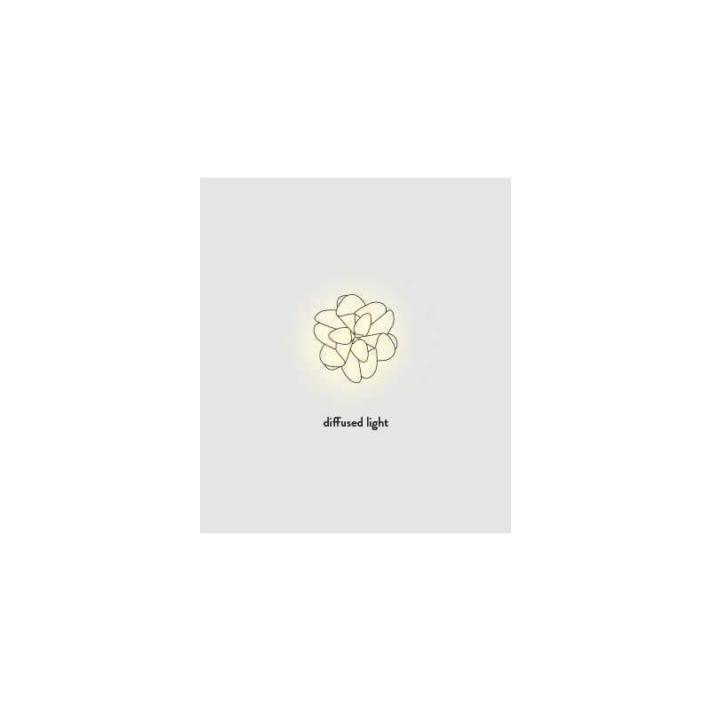 SLAMP Etoile Ceiling lamp / Wall Lamp