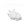 Buy SELETTI Vase online? Fast and safe delivery!