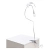 Seletti Sparrow taking off with clamps tablelamp