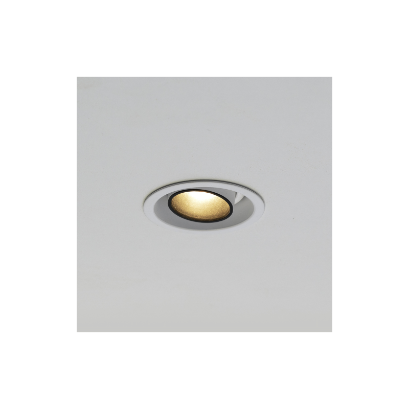 Brick In The Wall 200Cent Round Adj Trim Excl. Driver recessed spot