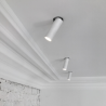 Brick In The Wall 200Cent Round Swing70 Trimless Excl. Driver Adj recessed spot