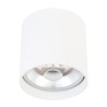 PSM Lighting Richard W1613 Ceiling Lamp