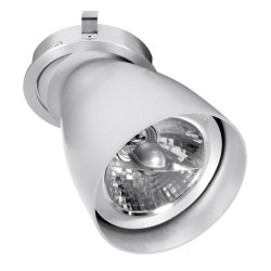 PSM Lighting Ø80 Convertible System Caspolka.Ar70 Recessed Spot