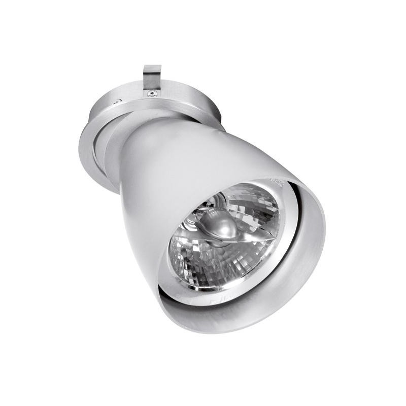 PSM Lighting Ø80 Convertible System Caspolka.Ar70 Recessed Spot