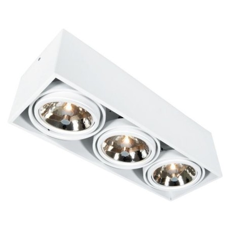 PSM Lighting Spinner X 1893 Ceiling Lamp