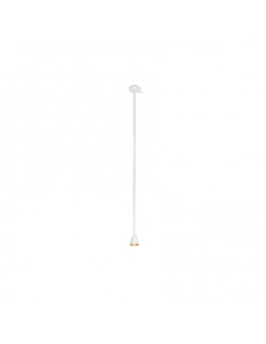 Trizo Austere-Solitaire RFC ceiling lamp