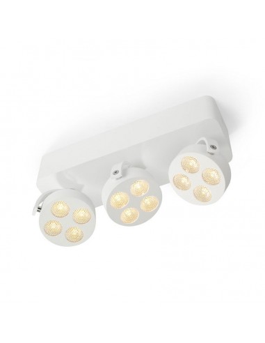 Trizo21 Mini-Pi 3 up ceiling lamp