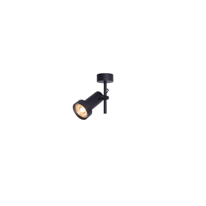 Trizo 2Thirty-C1 ceiling lamp