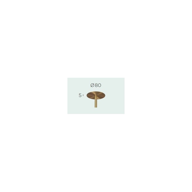 Trizo Cover C8 (2x)