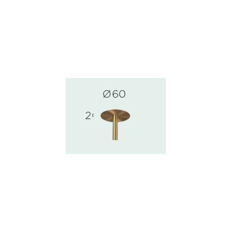 Trizo21 Cover C6 Austere-Chandelier RF