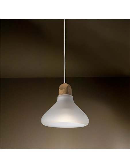 TAL KALEBAS LED M10 CI MAINS DIMMABLE suspension lamp