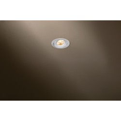 TAL SIMPLON HALOLED LEAF ceiling lamp