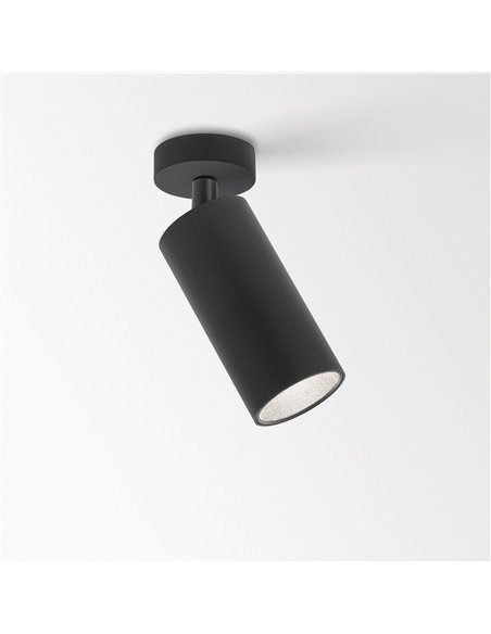 Delta Light SPY 66 ON TW Ceiling lamp