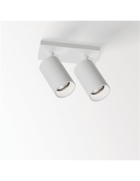 Delta Light SPYCO ON 2 AC Ceiling lamp