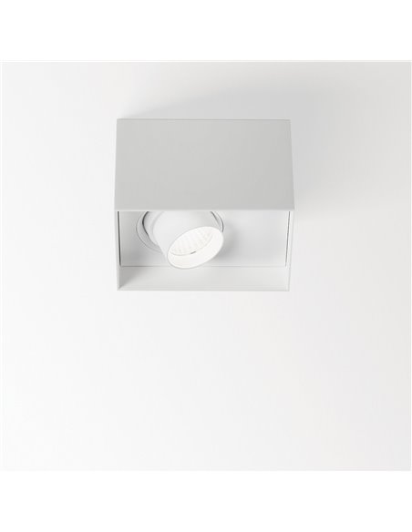 Delta Light VARO S ON OK Ceiling lamp