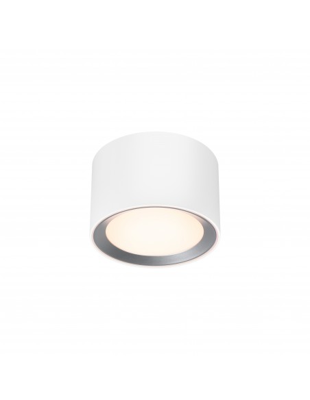 Nordlux Landon 12 Smart [IP44] ceiling lamp