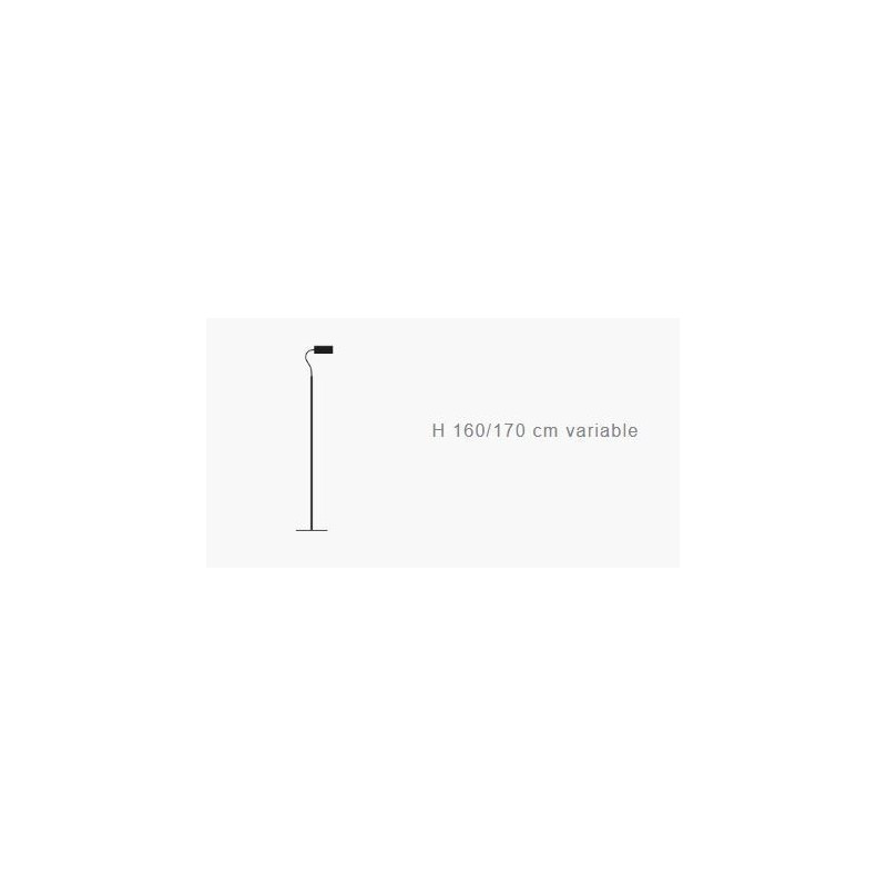 Catellani & Smith U. F Flex Stehlampe