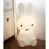 Nijntje / Miffi LED lamp - Papamaria