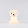 MrMaria Snuffy First Light LED lamp 23cm Table lamp / Floor lamp 