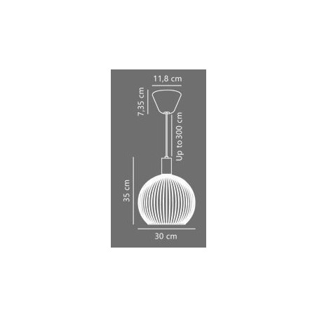 84243003_AVER_30_Technical