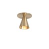 Trizo21 Aust-In Concrete Ceiling recessed spot