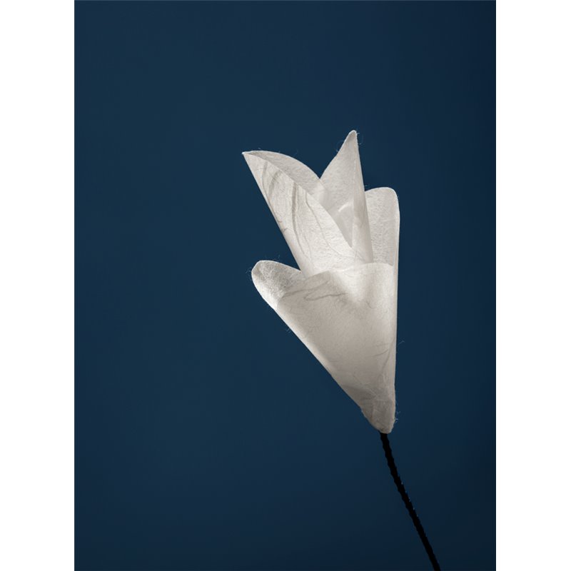 Catellani & Smith  For You Tischlampe