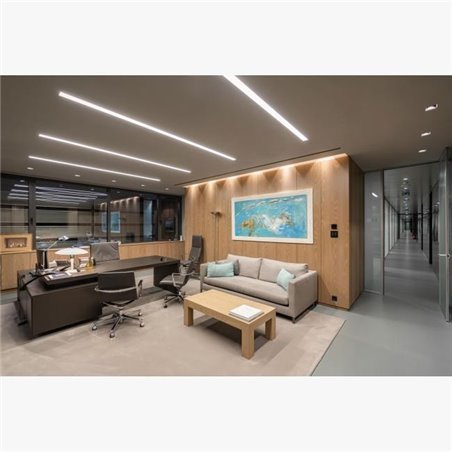 Delta Light CARREE TRIMLESS OK LED Recessed spot
