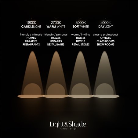 Delta Light LOGIC 60 R MOON Recessed spot