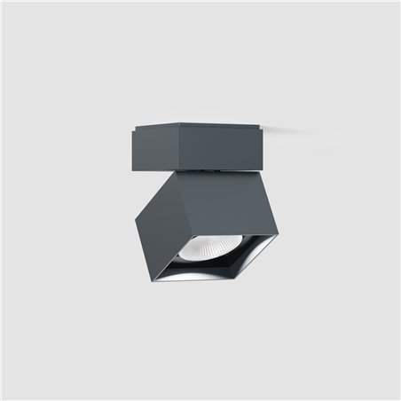IP44 Pro S Ceiling Light
