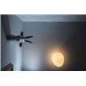 Foscarini Gregg Media Wall/Ceiling Ceiling Lamp / Wall Lamp