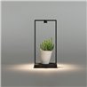 Artemide Curiosity 45 Table lamp