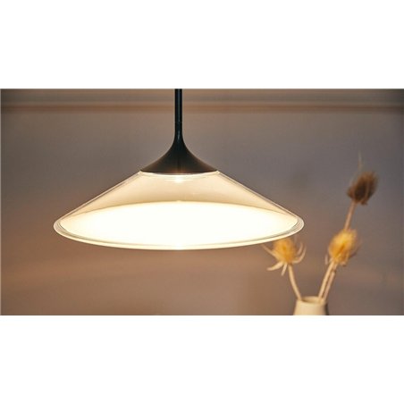 Artemide Orsa 35 suspended lamp
