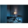 Foscarini Birdie Table Small table lamp - grey - outlet