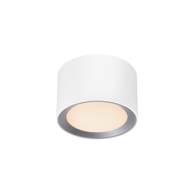 Nordlux Landon [IP44] 3-step Dim Deckenlampe