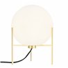 Nordlux Alton 20 table lamp