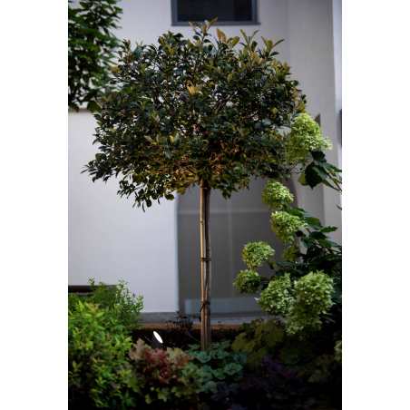 Wever & Ducré Stipo Outdoor Floor Proj 2.0 Led floor lamp