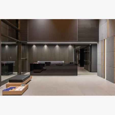 Delta Light CARREE TRIMLESS OK LED Recessed spot