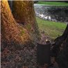 Tekna ARTON Coombe Bollard light