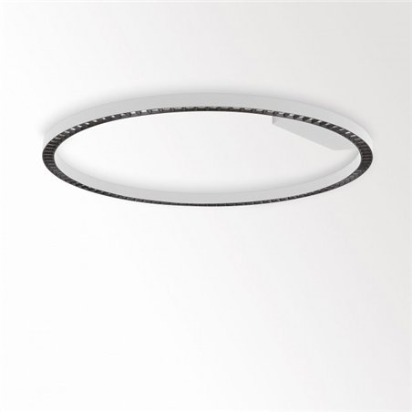 Delta Light INFORM R1+ DOWN DIM5 Ceiling lamp