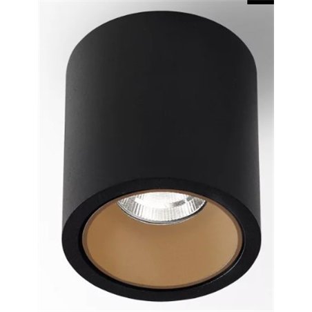 Delta Light R HE Ceiling lamp