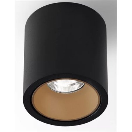 Delta Light R HE Ceiling lamp