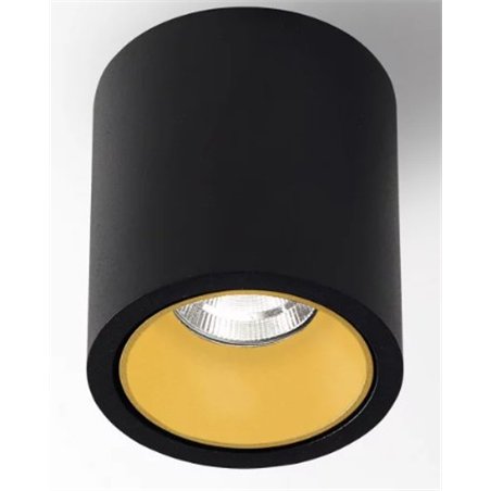 Delta Light R HE Ceiling lamp
