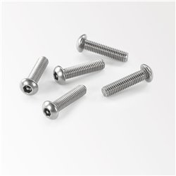 Delta Light FRAX ANTI VANDAL SCREWS 5 PCS