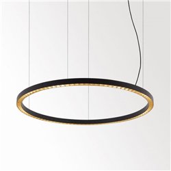 Delta Light INFORM R1 DOWN-UP Suspension lamp