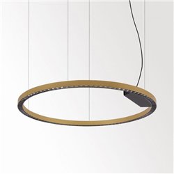 Delta Light INFORM R1+ DOWN-UP DIM5 Suspension lamp