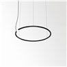 Delta Light LASS-OH! R65 - 3 Suspension lamp