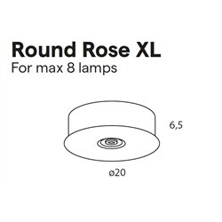 Lumina Round Rose XL (Max. x8)