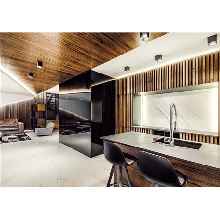 Wever & Ducré Box 1.0 PAR16 Ceiling lamp