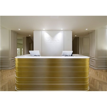 Wever & Ducré Deep Adjust 1.0 LED blade springs Recessed spot