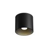 Wever & Ducré Ray 1.0 PAR16 Ceiling lamp